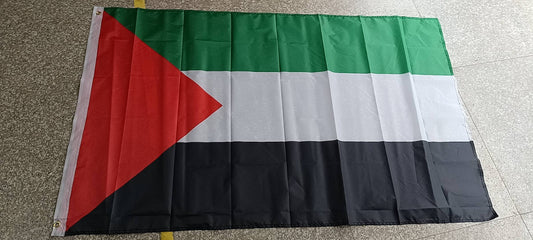 Palestine flag 🇵🇸